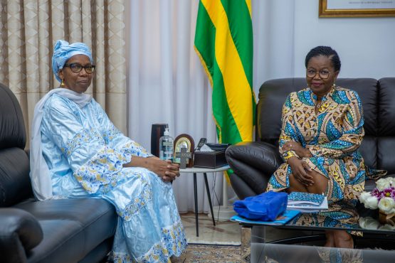 IMG 3132 555x370 - En fin de mission, Dr Aissata Ba Sidibé dit au revoir au Premier ministre