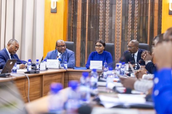 Banque mondiale Togo Revue conjointe du portefeuille des projets finances 555x370 - Partenariat Banque mondiale-Togo : le portefeuille des projets financés passé en revue