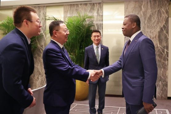 Partenariat public prive des investisseurs chinois recus par le chef de lEtat 1 555x370 - Partenariat public-privé : des investisseurs chinois reçus par le chef de l’État