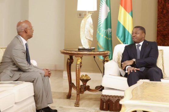 Integration africaine le leadership du chef de lEtat sollicite 768x512 2 555x370 - Présidence de la commission de l'Ua: Djibouti veut rallier le Togo à sa candidature