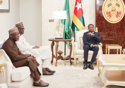 e6ae31cb2947bfbd95abfa4426be9053 XL 524x370 - Diplomatie : échanges entre le président du Conseil et les ministres des affaires étrangères du Mali, du Niger, du Burkina, du Libéria, du Tchad et de la RDC