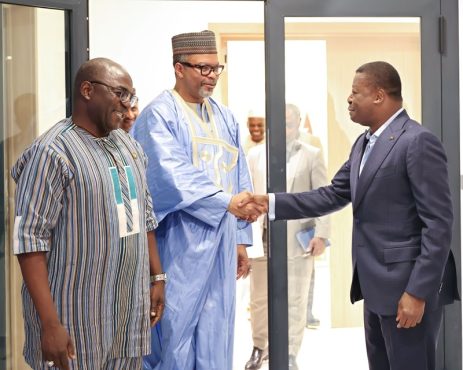 Nouvelle strategie du Togo pour le Sahel Faure Gnassingbe echange avec la societe civile et des experts africains  463x370 - Nouvelle stratégie du Togo pour le Sahel : Faure Gnassingbé échange avec la société civile et des experts africains