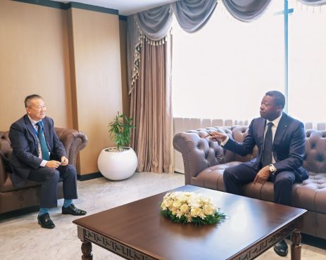 Paix et stabilite en Afrique le President du Conseil echange avec une delegation des Nations unies 463x370 - Paix et stabilité en Afrique : le Président du Conseil échange avec une délégation des Nations unies