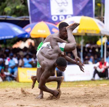 Evala 2026 : Faure Essozimna Gnassingbé magnifie les valeurs d’une tradition séculaire LUTTEURS 2026 EN ACTION 377x370 - Evala 2026 : Faure Essozimna Gnassingbé magnifie les valeurs d’une tradition séculaire