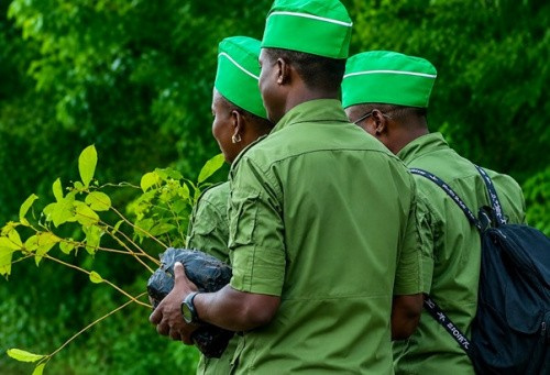 Environnement : Dodzi Kokoroko crée les brigades mobiles de surveillance environnementale et forestière Brigades mobiles de surveillance - Environnement : Dodzi Kokoroko crée les brigades mobiles de surveillance environnementale et forestière