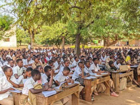 Education 493x370 - TOGO