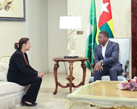 Togo Egypte une cooperation dynamique au service du developpement 1 463x370 - Togo-Egypte : une coopération dynamique au service du développement