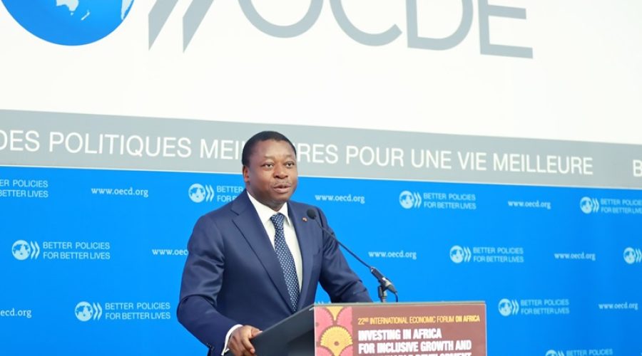 22eme-Forum-de-lOCDE-le-chef-de-lEtat-appelle-a-une-mobilisation-des-investissements-prives