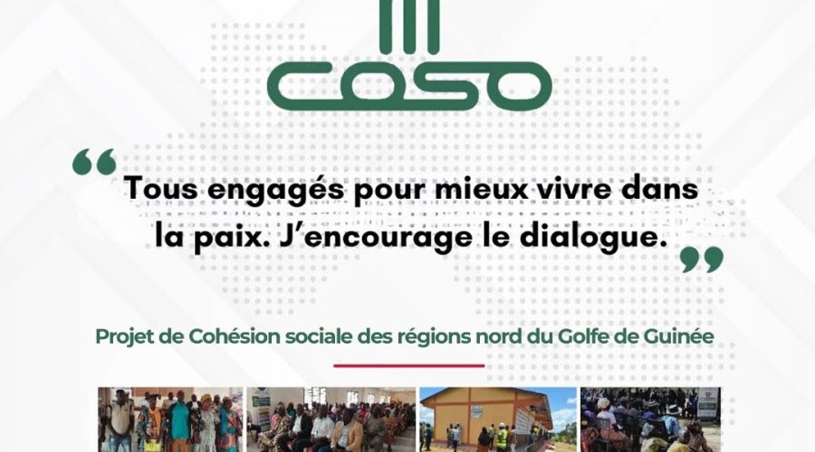 COSO 3
