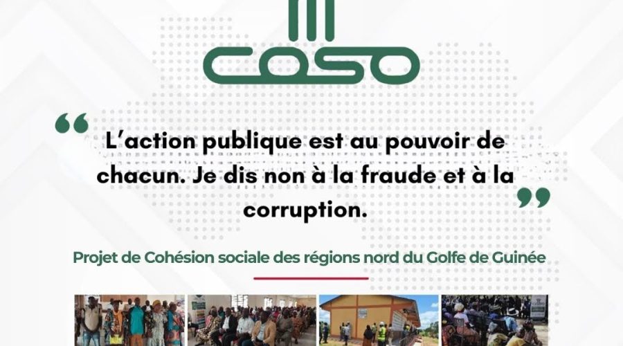 COSO 7
