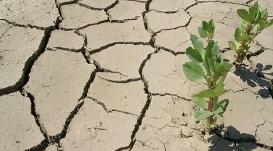 Changments climatiques