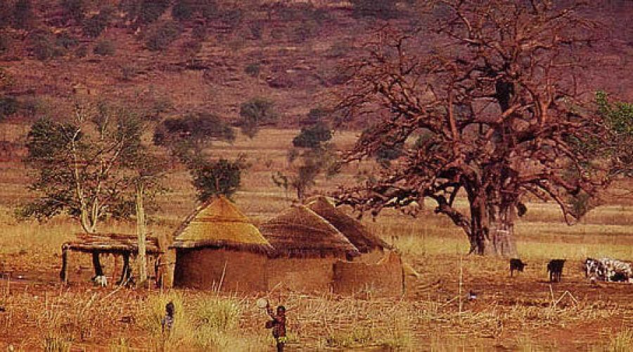 PURS savanes
