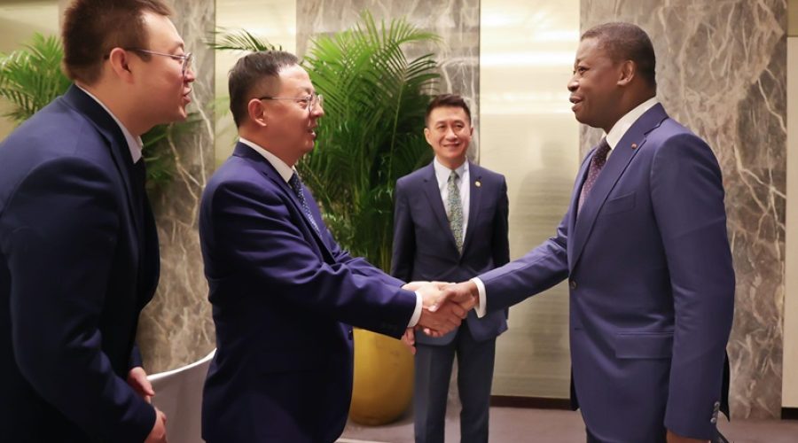 Partenariat-public-prive-des-investisseurs-chinois-recus-par-le-chef-de-lEtat-1