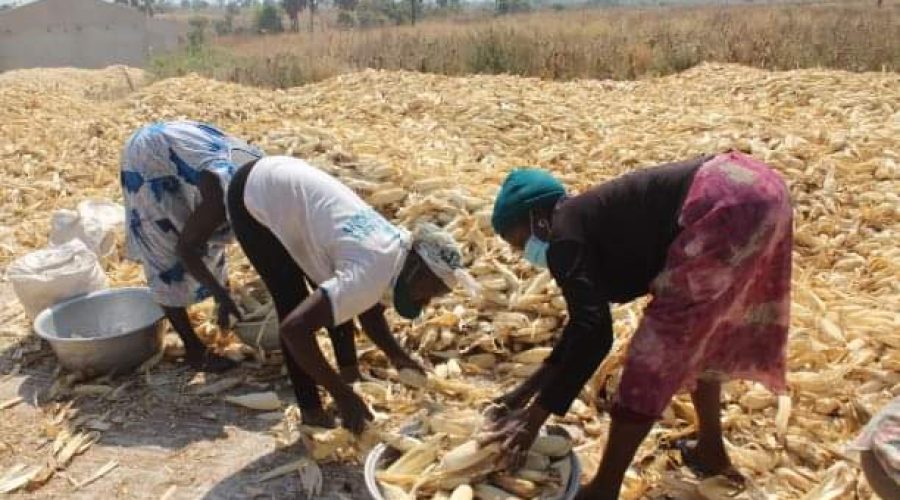 Production agricole